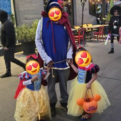 Snow White Prince Adult Costume 