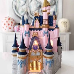50th Anniversary Cinderella Castle Warmer 