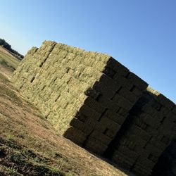 Alfalfa 12 $For a Stack 84 Bales 13 $Anything Less