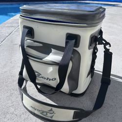 Coho Soft Side Cooler - Barely Used