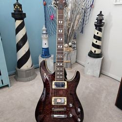 Schecter Electric Guitar