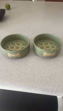 Puppy dog food and water bowls