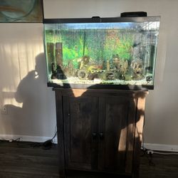 Fish Tank  Or Best Offer