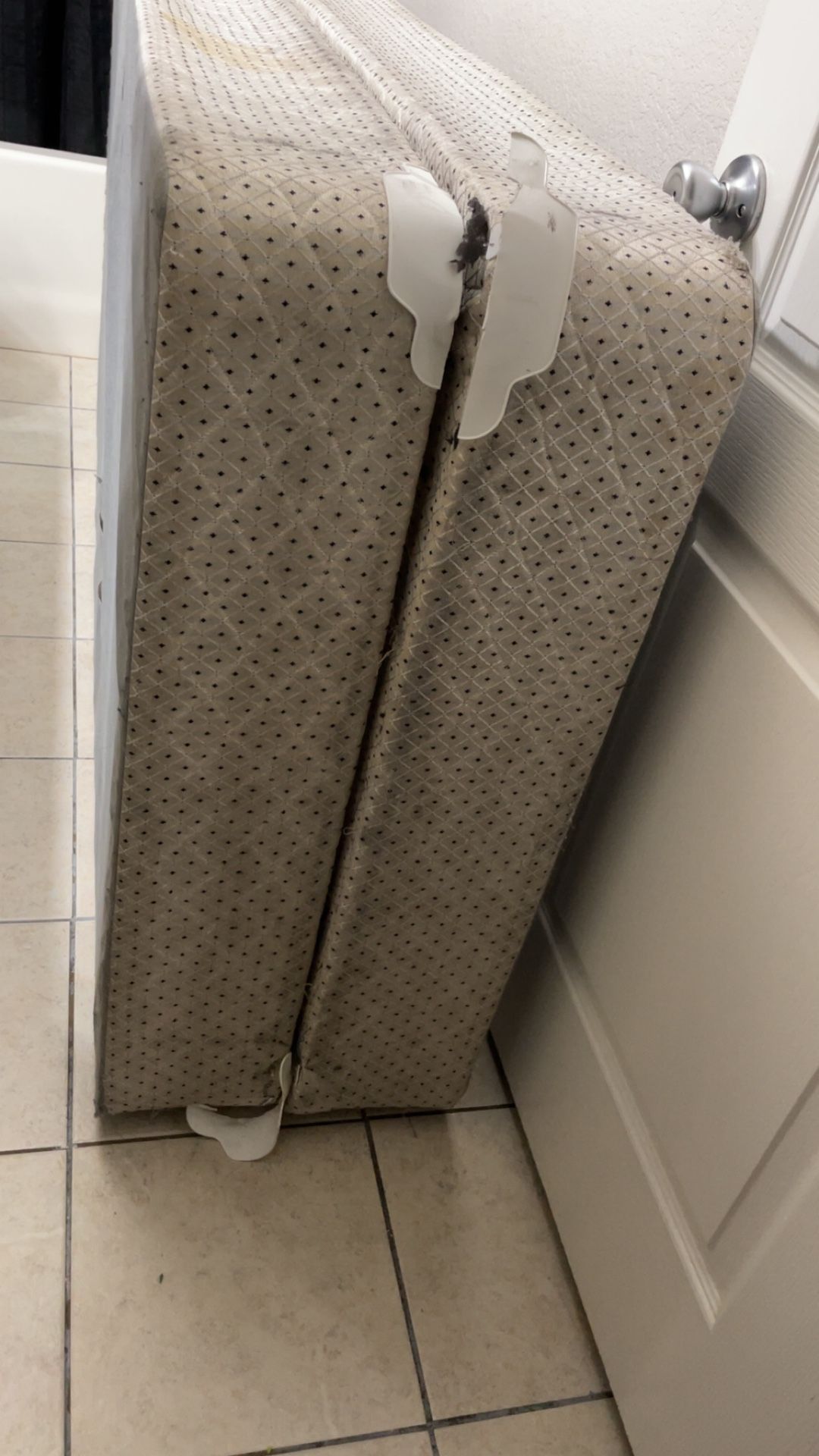 FREE Box Springs