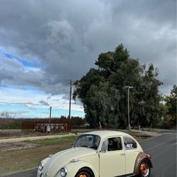 1970 Volkswagen 1600