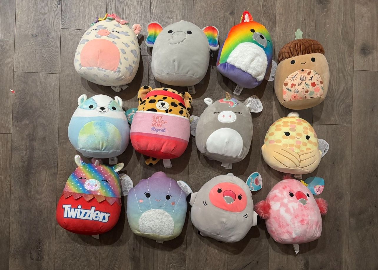 Lot of 12 various squishmallow, 8” inches