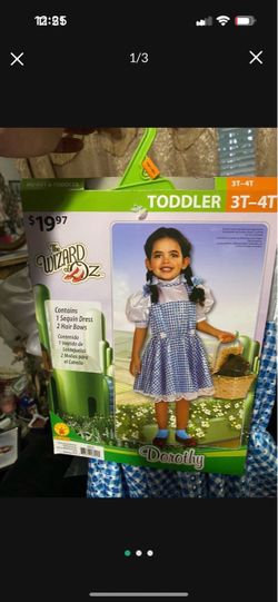 Dorothy Costume