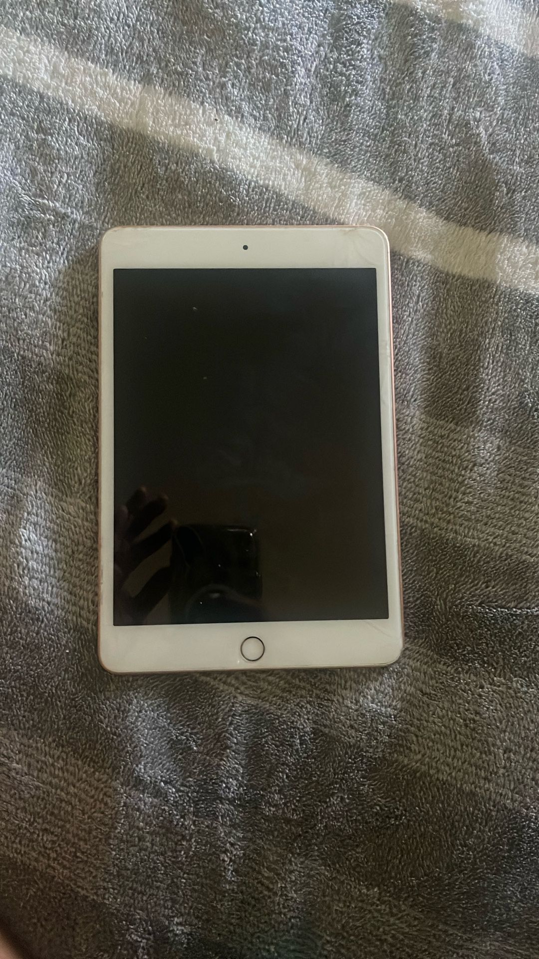 iPad Mini 5