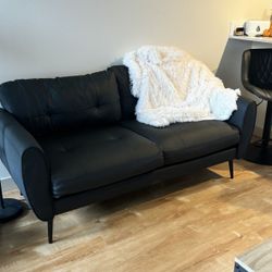  Wayfair Loveseat 