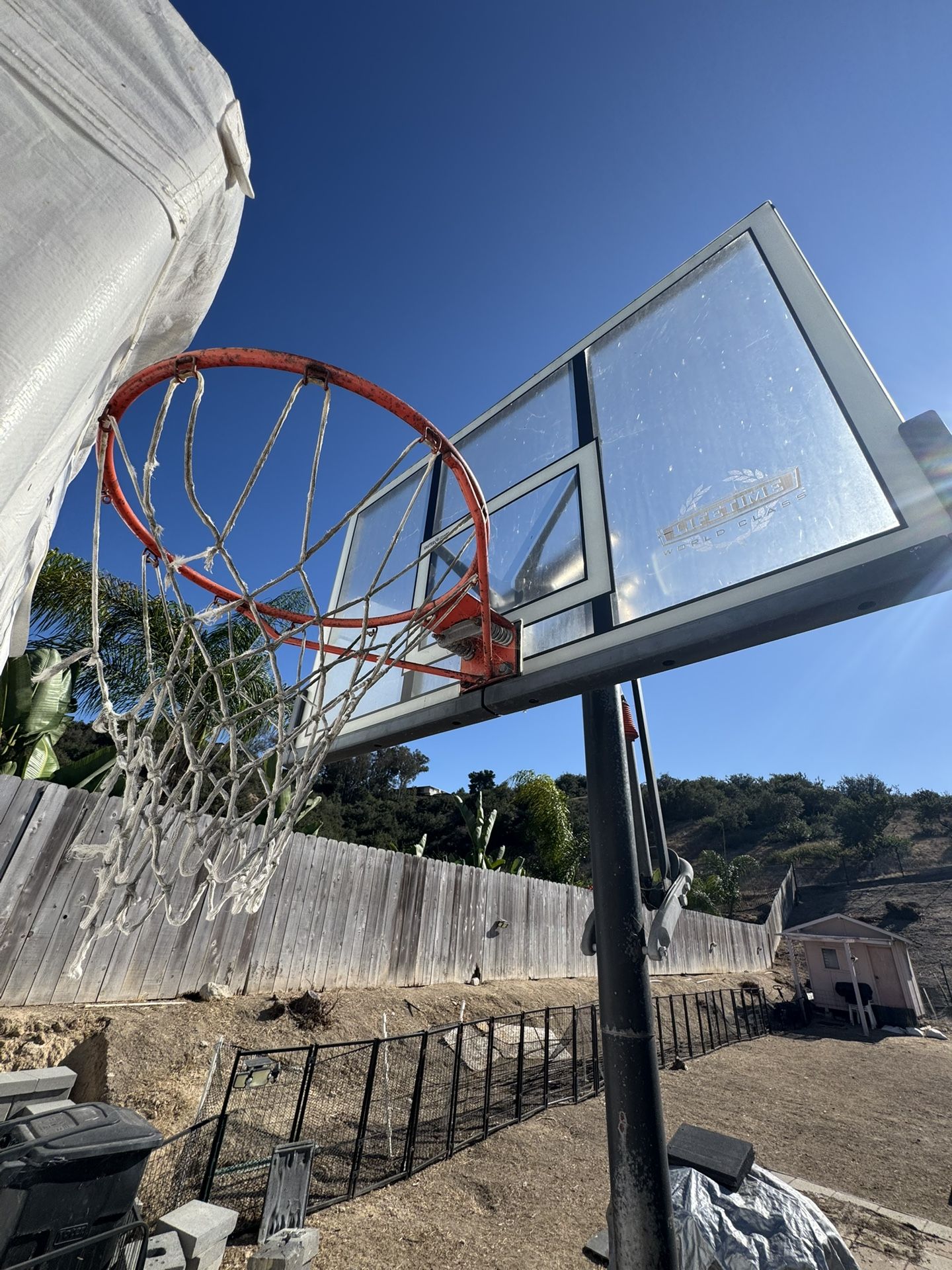 $50 Basketball Hoop