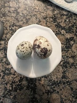 Quail Egg Cartons