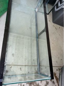 Fish tank