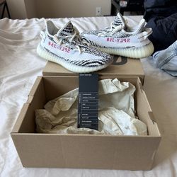 Yeezy boost 360 V2