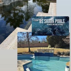 Swimming Pool Plaster 