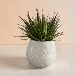White Glazed Ceramic Succulent Flower Pot Planter, Small Round Indoor/outdoor