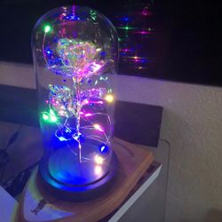 Rose /w Led Dome