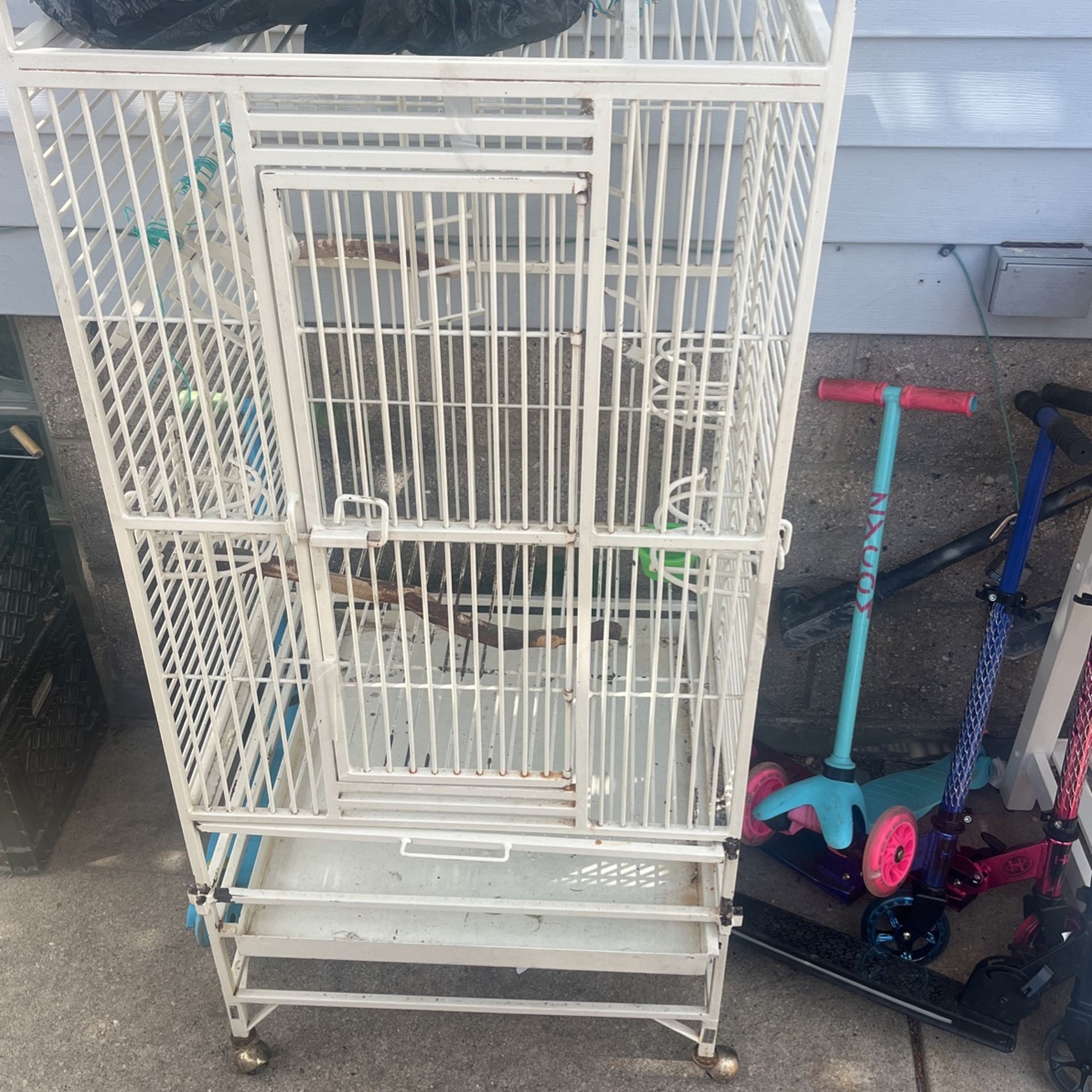 bird cage