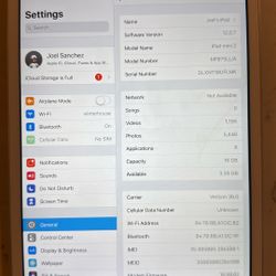 iPad Mini 2