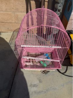 Bird cage