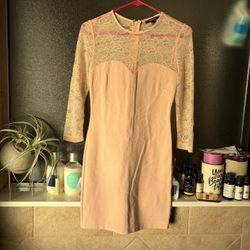 Pale Pink Body Con With Lace