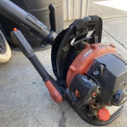 Echo Blower 