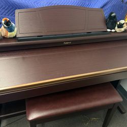 Black Friday Sale Only! Roland KR-107 Digital Piano With Its Little Bird Choir 