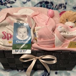 Baby Girl Newborn Gift Basket $25