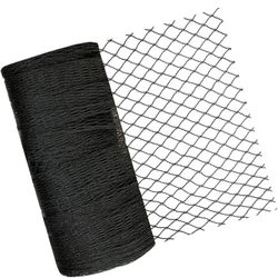 Bird Netting  25x100 ft