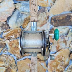 Senator Penn Fishing Tackle, Fishing Rods, Fishing Pole