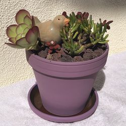 Plum Clay Planter/Pot with Succulents/Plants with Ceramic Bird