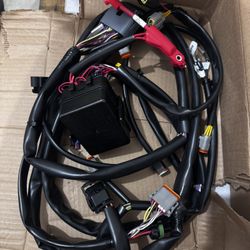 Main Harness, GTS Pour Sea-Doo