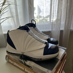 Midnight 16s Jordan 