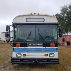 1997 Bluebird Bluebird