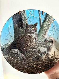 Decorative Owl Family Collector Plate
