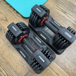 Dumbbells set
