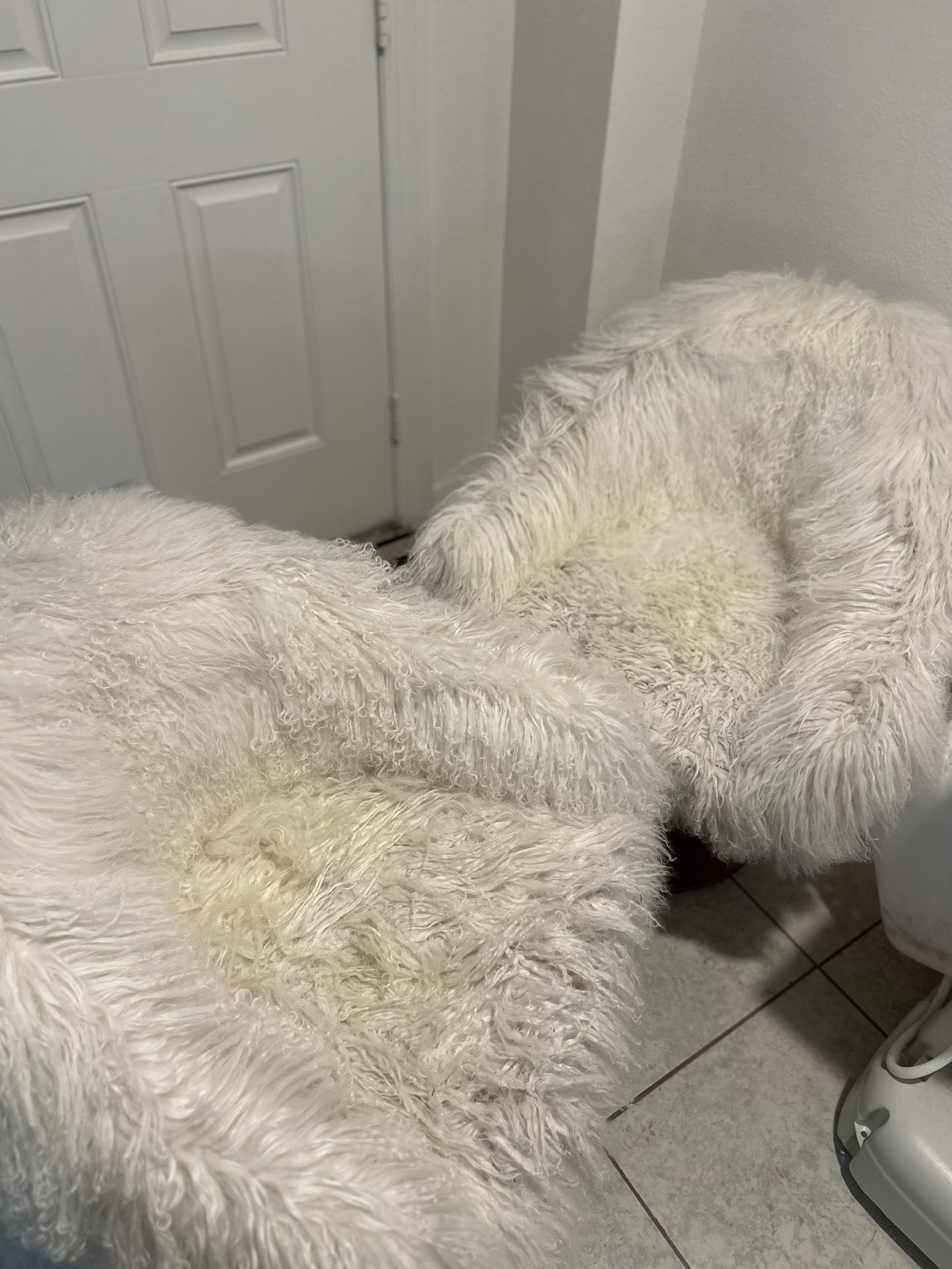 Fluffy Chairs