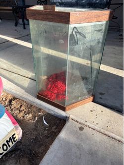 Free aquarium