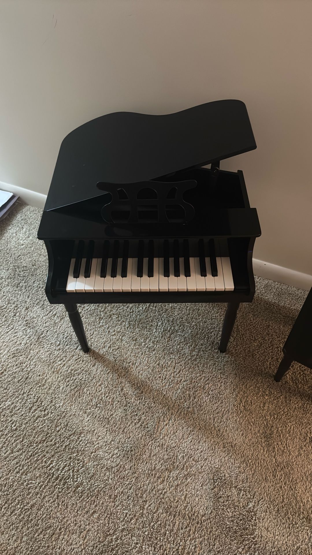 Kids Toy Piano