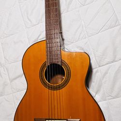 Takamine G Series