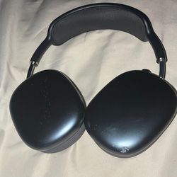 AirPod Maxes with case.