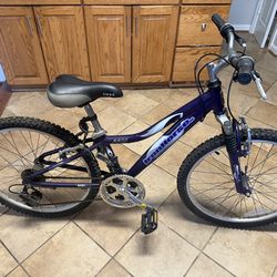 Iron Horse 24” Bike