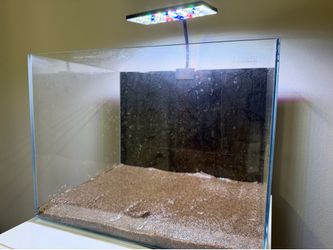 10 gallon aquarium