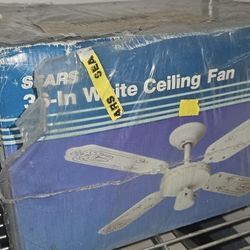 New Ceiling Fan