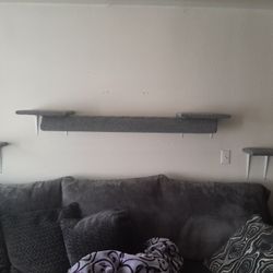 Cat Shelves 