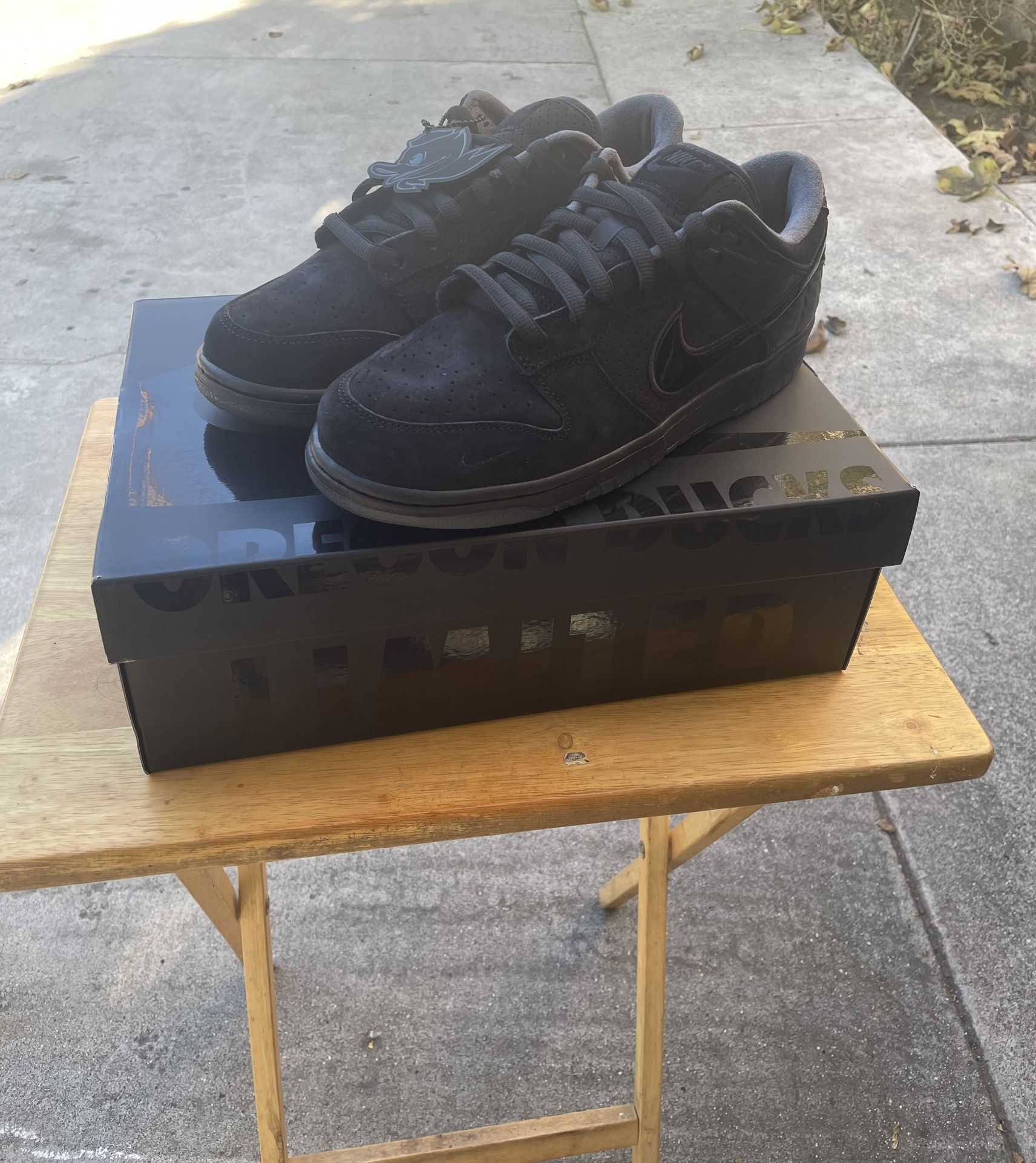 Nike Dunk Low Black Oregon