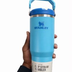 Stanley IceFlow Flip Straw Tumbler 30 oz Blue Insulated Water Bottle Handle Lid