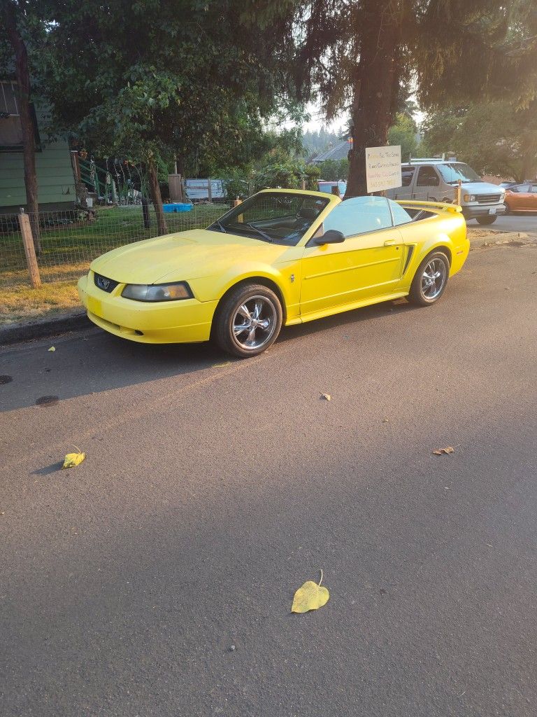 2003 Ford Mustang