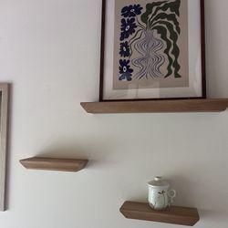 Floating Shelf Set