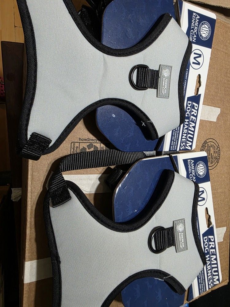 Dog Harness Set Of 2 Medium Dogs