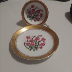 EB Foley Teacup And Saucer #4762